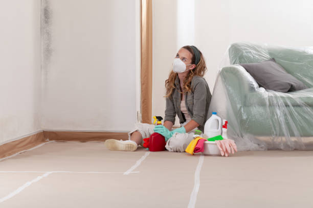 Reliable Mold Remediation contractor in Browns Mills, NJ by 24 Hour Mold Removal